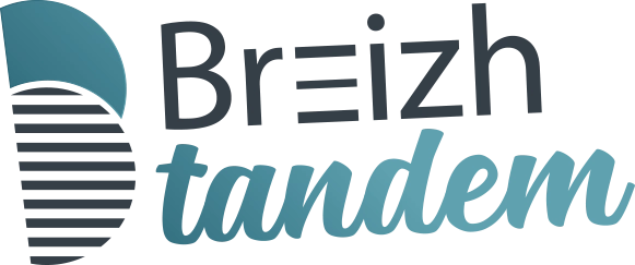 Logo Breizh tandem dégradé Agence web en bretagne